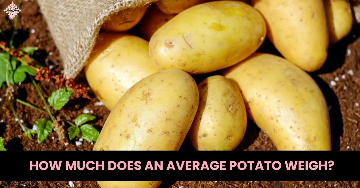how much does an average potato weigh